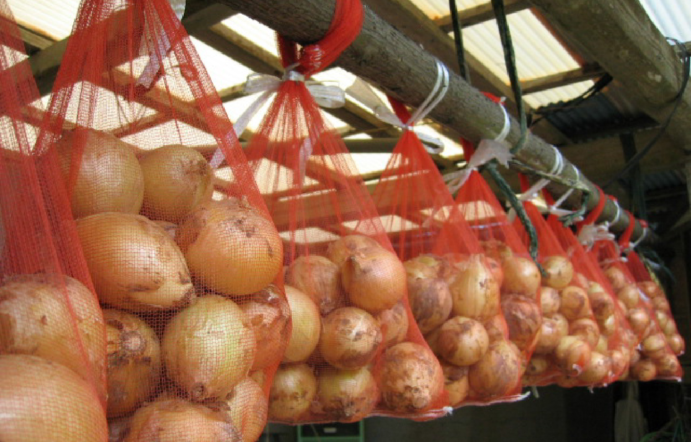 ＯＥＭ案件（農業資材）